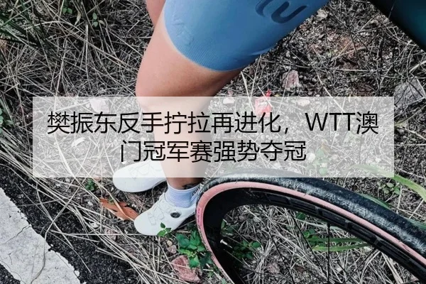 樊振东反手拧拉再进化，WTT澳门冠军赛强势夺冠